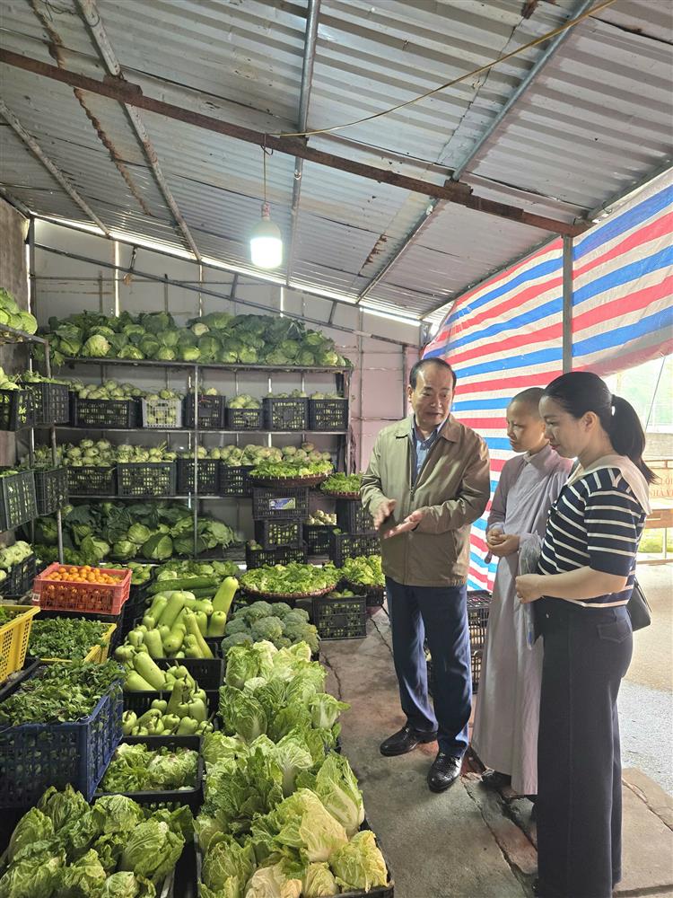 Xét nghiệm nhanh mẫu thực phẩm sử dụng chế biến suất cơm chay miễn phí tại Chùa Cái Bầu.